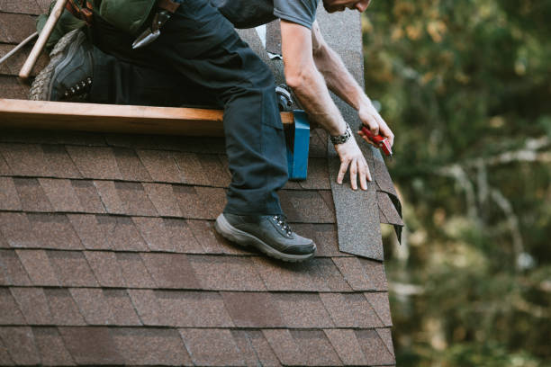 Best Roof Gutter Cleaning  in Acton, CA
